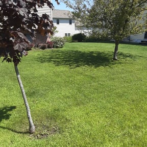 landscaping by Allens lawncare LLC reviewed on August 16, 2025