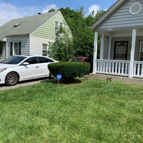 Bush Trimming by Carlitos lawn care reviewed on August 20, 2025