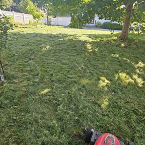 lawn service by Grass Choppers Lawn Care reviewed on May 17, 2024