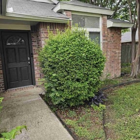 Bush Trimming by Felicianos Lawn Maintenance LLC reviewed on November 26, 2025