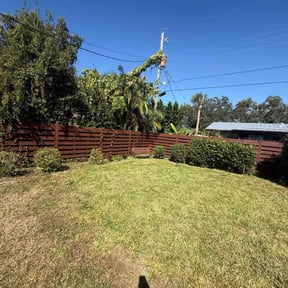 Bush Trimming by San Antonio Lawn Pros reviewed on October 23, 2025