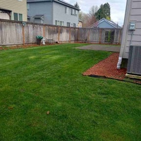 yard work by Blue Diamond Cleaning Services reviewed on August 16, 2025