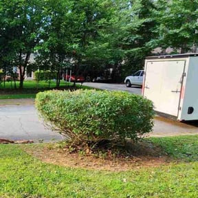 Bush Trimming by Var Landscape reviewed on August 15, 2025