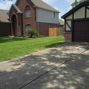 yard work by Green Munsters cuts reviewed on August 16, 2025