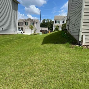 grass maintenance by Shaggy cuts,INC reviewed on August 19, 2025