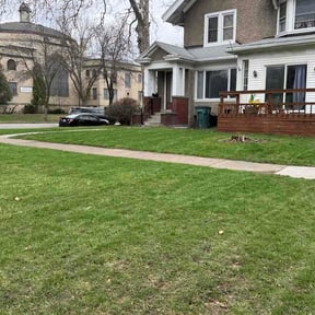 Leaf Removal by Spinelli Scenery Solutions LLC. reviewed on April 7, 2026