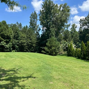 landscape maintenance by Eazy LLC reviewed on November 24, 2025