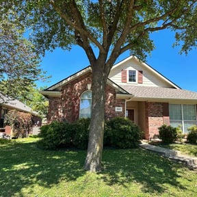 turf care by Jack Catlin reviewed on January 11, 2022