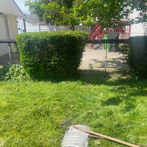 Bush Trimming by Twin Cities perfected lawns reviewed on May 28, 2026