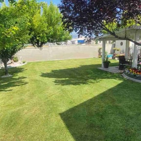 residential landscaping by "Haul"in Grass" reviewed on August 20, 2025