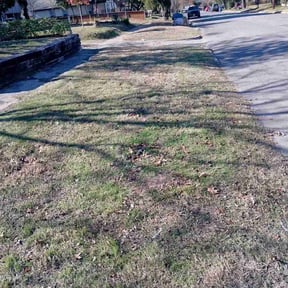 Leaf Removal by DeFeat It Landscaping reviewed on December 16, 2025