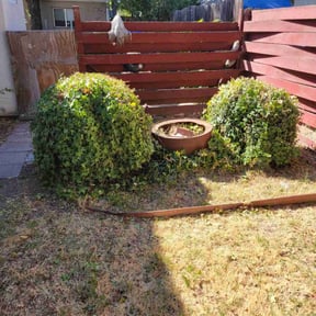 Bush Trimming by Texas Best Lawn and Farm reviewed on August 18, 2025