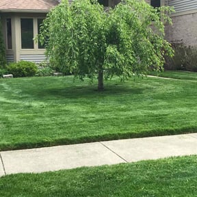 landscaping services by Kc lawn care reviewed on August 18, 2025