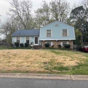 Bush Trimming by Michael Ritchie reviewed on March 24, 2026