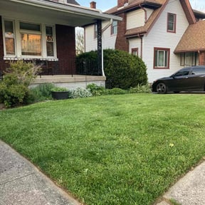 yard maintenance by Under Pressure reviewed on March 31, 2023