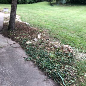 Flower Bed Weeding by Finish Line Lawns llc. reviewed on August 18, 2025