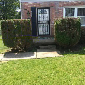 Bush Trimming by B&G LAWN CARE reviewed on August 15, 2025