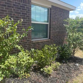 Flower Bed Weeding by Precision Lawn &amp; Property Care LLC reviewed on August 19, 2026
