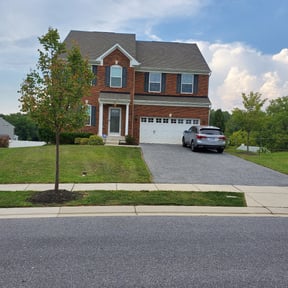 Bush Trimming by Dallas Enterprise LLC Lawn Care Services reviewed on August 15, 2025