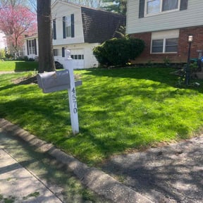 lawn care services by Tropicare Landscape and Maintenance reviewed on February 1, 2024