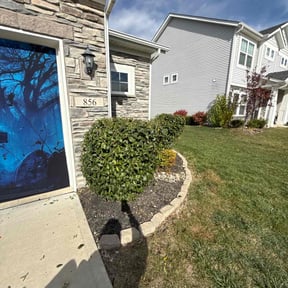 Bush Trimming by Express services reviewed on June 10, 2025