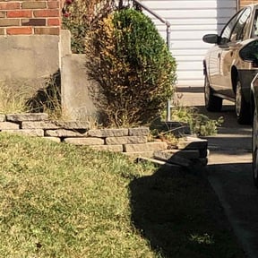 Bush Trimming by Lawngevity Landscape and Maintenance reviewed on August 15, 2025
