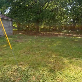 Leaf Removal by Holland &amp; Son reviewed on September 26, 2025