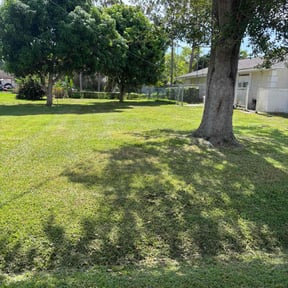 yard care by RSVP lawn maintenance reviewed on August 18, 2025