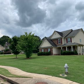 Bush Trimming by IPR LLC reviewed on August 20, 2025