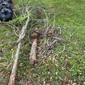 Leaf Removal by A job well done reviewed on September 20, 2025