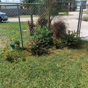 Bush Trimming by Tubby's Lawn Care Services, LLC reviewed on August 18, 2025