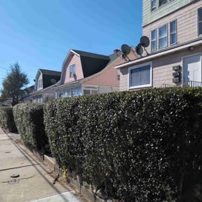 Bush Trimming by Earth tech landscaping reviewed on August 15, 2025