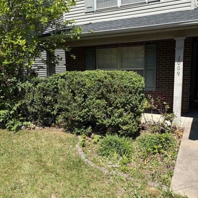 Bush Trimming by Drewskeedoos Landscaping reviewed on May 2, 2026