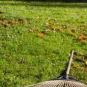 Leaf Removal by Family Lawn Care reviewed on August 19, 2025