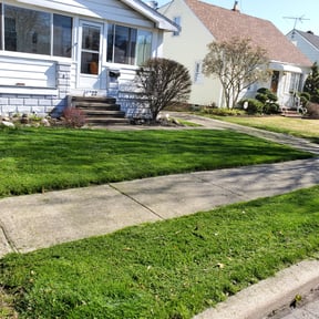 yard care by Complete Yard Care Maintenance reviewed on August 16, 2025