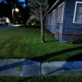 Leaf Removal by Nunez Property Services reviewed on July 18, 2026