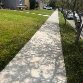 landscaping by Good Guys Lawn and Fence reviewed on August 17, 2025