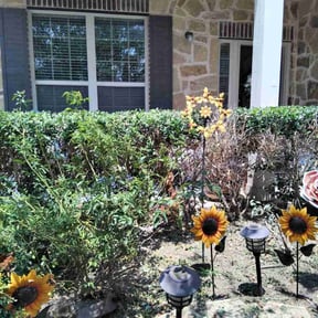 Bush Trimming by Ball Lawn Care LLC reviewed on August 20, 2025