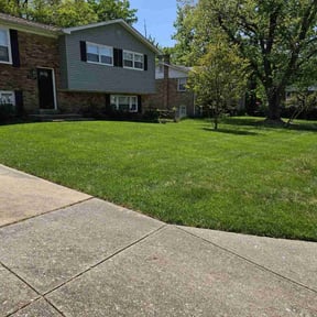 gardening service by Greg&#039;s gardens reviewed on November 27, 2025