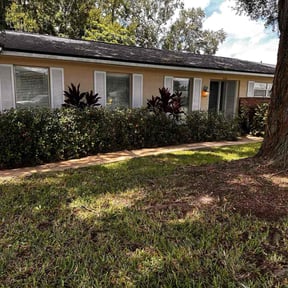 Bush Trimming by Arenas Lawn Care reviewed on October 24, 2025