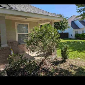 Bush Trimming by The Whole 9 Yards reviewed on May 18, 2023