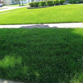 residential landscaping by Jays lawn care and maintenance reviewed on August 21, 2025