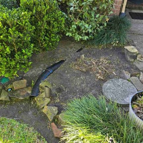 Flower Bed Weeding by Titan Apex, LLC reviewed on March 26, 2026