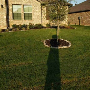 gardening service by Highly Favored Lawn Care reviewed on August 18, 2025
