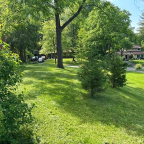 residential landscaping by Mariano's maintenance and landscaping reviewed on August 21, 2025