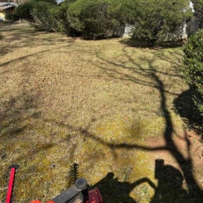 Bush Trimming by Landscape by dan reviewed on October 18, 2025