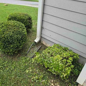 Bush Trimming by Ricky's Landscaping reviewed on August 5, 2026