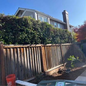 Bush Trimming by Jean Claude Zephirin reviewed on December 24, 2025