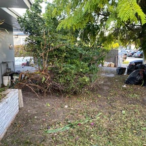 Bush Trimming by Abney's lawncare reviewed on August 15, 2025