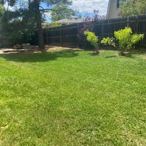 grass maintenance by Willam Bonavida reviewed on April 25, 2025